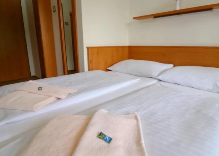Horsky Neptun Hotell